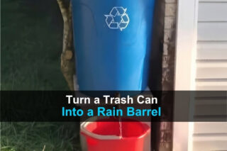 Turn a Trash Can Into a Rain Barrel