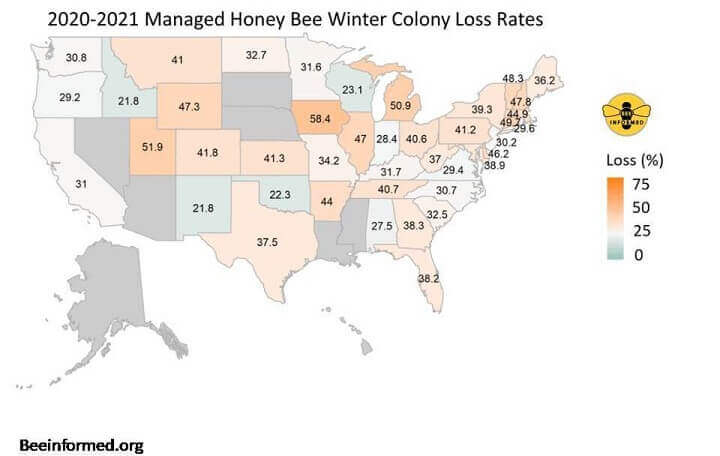 U.S. Bee Colony Losses