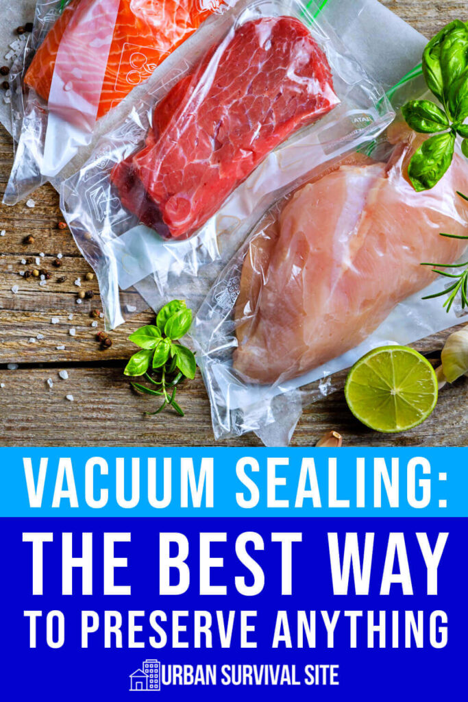 Vacuum Sealing: The Best Way to Preserve Anything
