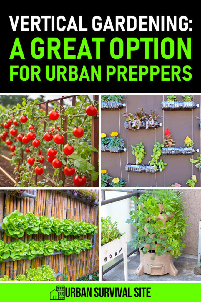 Vertical Gardening: A Great Option for Urban Preppers