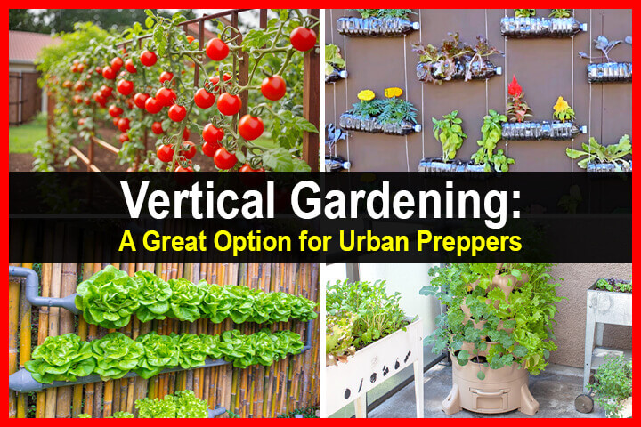 Vertical Gardening: A Great Option for Urban Preppers