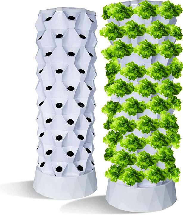 Vertical Gardening