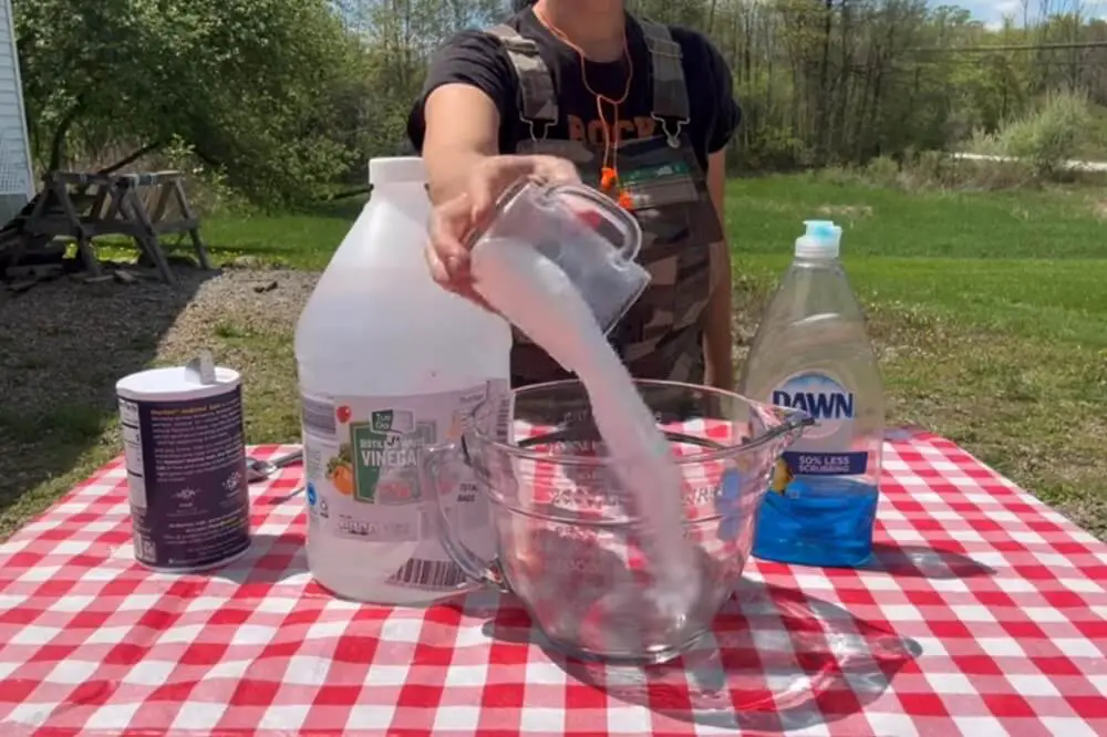 Vinegar + Salt + Dish Soap
