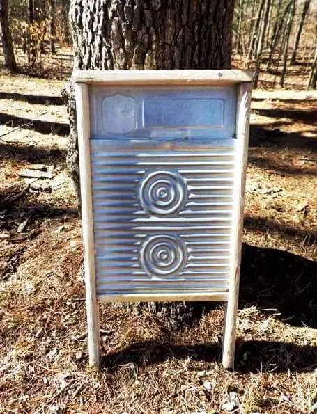 Washboard Leaning Against Tree