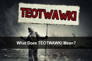 What Does TEOTWAWKI Mean?
