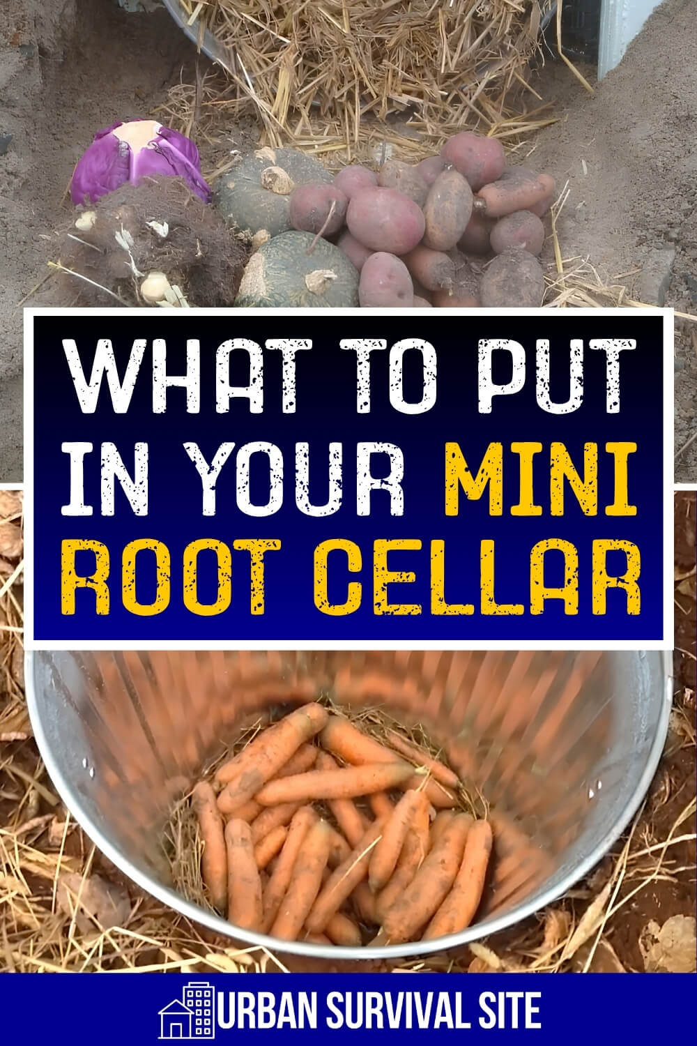 What to Put in Your Mini Root Cellar
