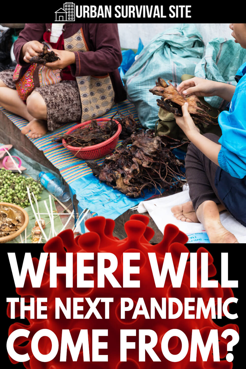 Where Will The Next Pandemic Come From?