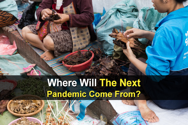 Where Will The Next Pandemic Come From?