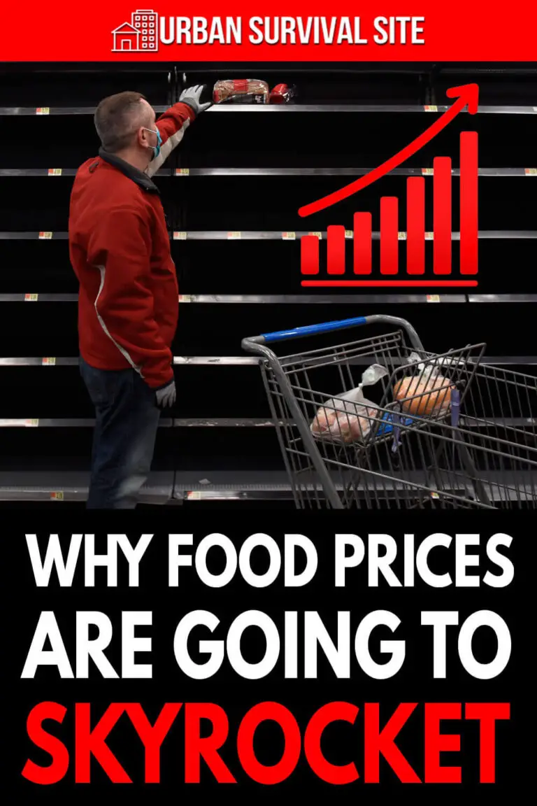 Why Food Prices Are Going To Skyrocket Urban Survival Site