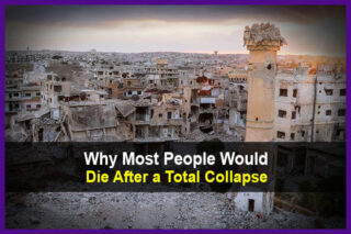 Why Most People Would Die After a Total Collapse