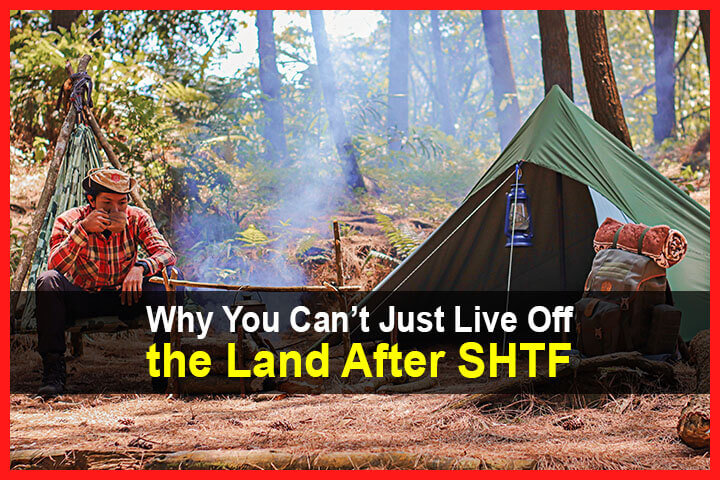 Why You Can’t Just “Live Off the Land” After SHTF