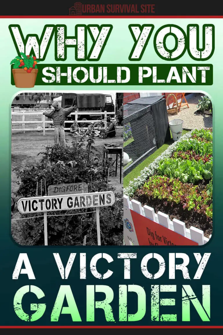 why-you-should-plant-a-victory-garden-urban-survival-site