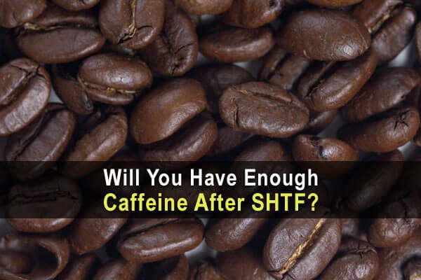 Will You Have Enough Caffeine After SHTF?