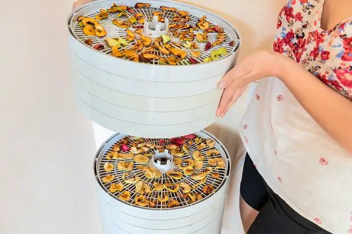 Woman Holding Electric Dehydrator with Dried Fruit
