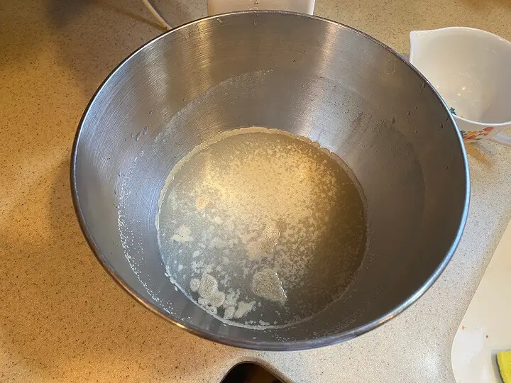 Yeast In Water